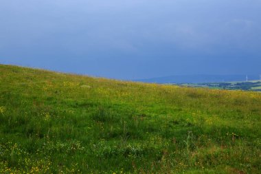 Bulutlu gökyüzüne karşı güzel bir tarla