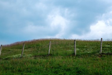 Gökyüzüne karşı yeşil tepe
