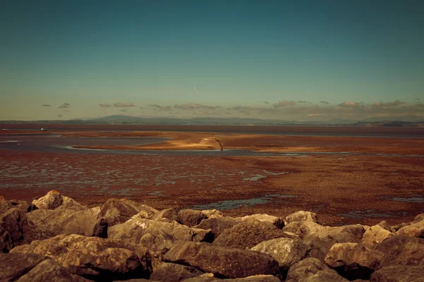 Landscape Sea Low Tide England — Stockfoto