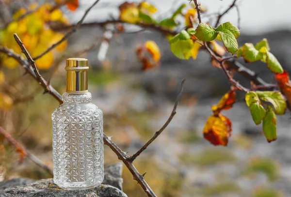 Bottle of perfume on nature background