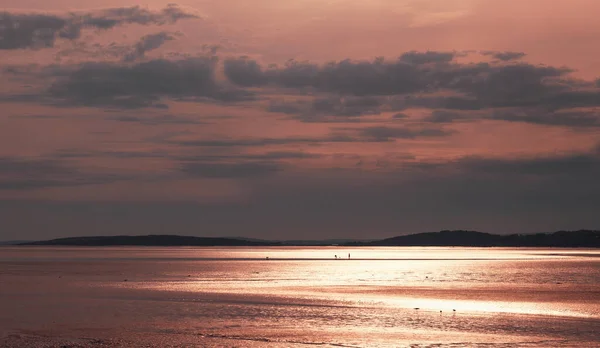 Vacker Rosa Solnedgång Havet — Stockfoto