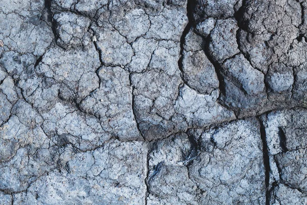 Texture Dried Black Mud — Stockfoto