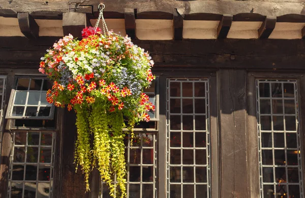 Beautiful Pot Flowers Wall Wooden Cafe — Photo