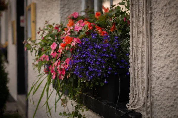 Beautiful Flower Pot Building — Photo