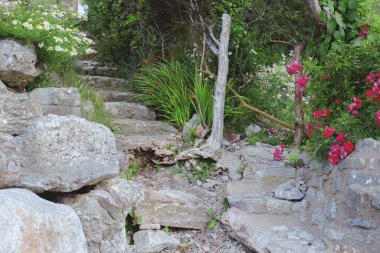 Old stone steps among flowers