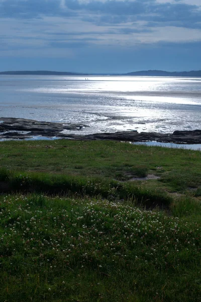 Seelandschaft Gras Meer Und Himmel — Stockfoto