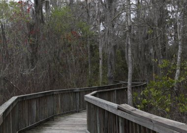 Georgia, Youman 's Pond' da tahta kaldırım.