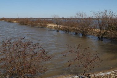 Teksas 'taki Hagerman Ulusal Vahşi Yaşam Sığınağı' ndaki havuzlar arasındaki yol.