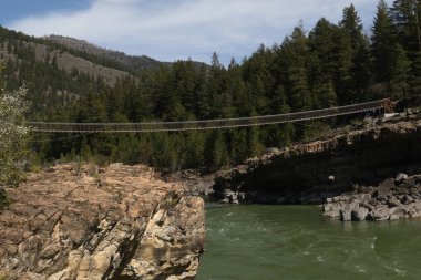 Idaho 'daki Kootenai Şelalesi' nde asma köprü.