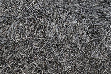 Küçük kuru çubuklarla kaplı bir zemin.