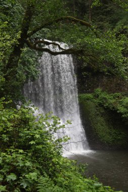 Lower South Falls, Silver Falls Eyalet Parkı, Oregon