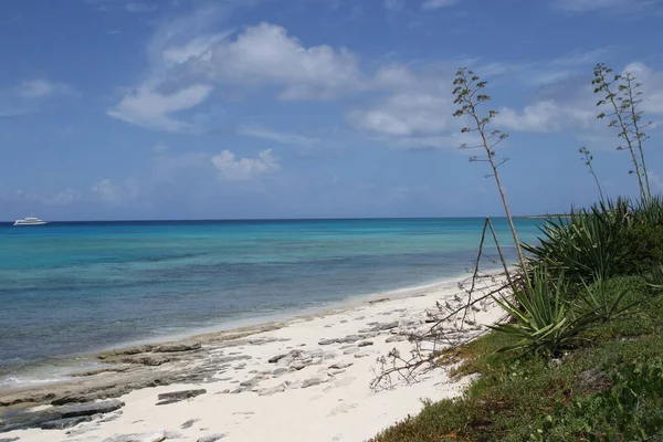 Playa Providentiales Islas Turcas Caicos — Foto de Stock