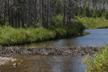Beaver Barajı, Williams Deresi Kremmling, Colorado yakınlarında.