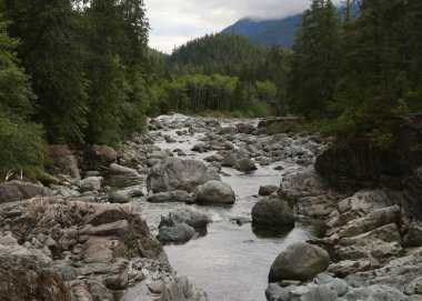 Kennedy Nehri 4. Otoyol, Vancouver Adası, British Columbia
