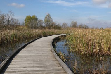 Cameron Prairie 'deki Boardwalk Patikası Ulusal Vahşi Yaşam Sığınağı, Louisiana
