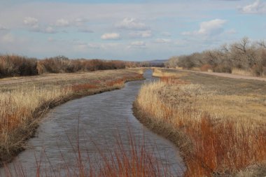 Bosque del Apache 'deki tipik manzara Ulusal Vahşi Yaşam Sığınağı, New Mexico