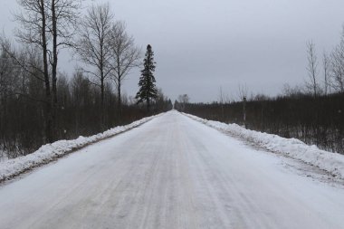 Minnesotra, Saksafon Bataklığı 'nda karla dolu bir köy yolu.