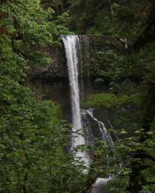  Twin Falls, Silver Falls Eyalet Parkı, Oregon