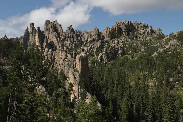 Cathedral Spires Needles Highway Custer State Park Black Hills South — Stockfoto