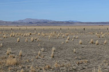Carson Wetlands, Nevada 'daki tipik manzara