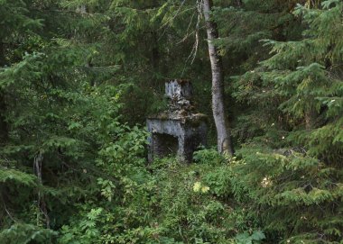 Remains of an old fireplace near Hyder, Alaska