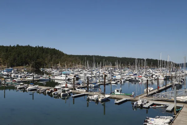 Friday Harbor San Juan Islands Washington — Fotografia de Stock