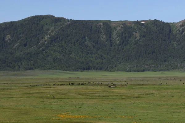 Valle Agricultura Cerca Soda Springs Idaho — Foto de Stock