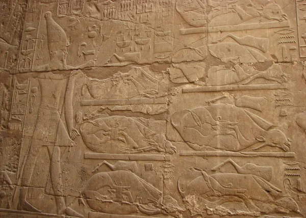 Relief Mit Opfertieren Luxor Tempel Ägypten — Stockfoto
