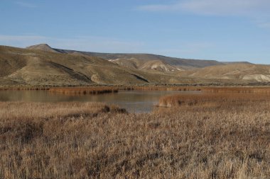 Sheldon Ulusal Vahşi Yaşam Sığınağı 'nda kış sulak arazisi