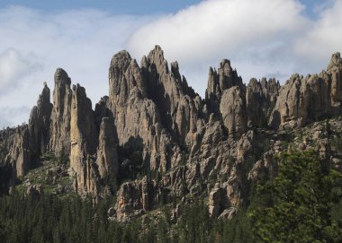 Katedral Kuleleri, Needles Otoyolu, Black Hills, Güney Dakota