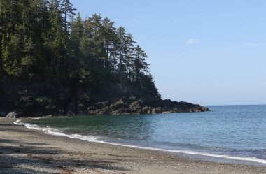 Tipik kıyı şeridi, Moresby Adası, Haida Gwaii, British Columbia