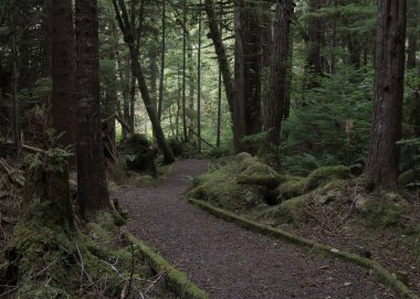 Spirit Gölü, Skidegate, Haida Gwaii, British Columbia
