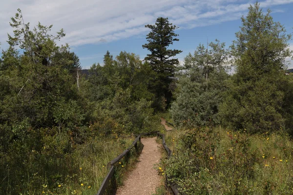 İzci Adası Doğa Merkezi, Williams Gölü İngiliz Kolombiyası