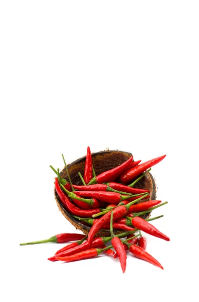 biberler beyaz zemin üzerine izole bir Hindistan cevizi kabuğu