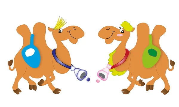 Couple of camel — Stock Vector