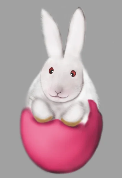 兔子在鸡蛋上 — 图库照片
