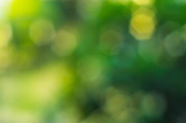  Yeşil Çokgen bokeh ağacı