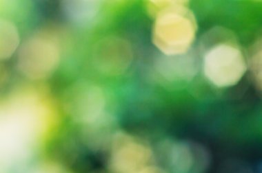  Yeşil Çokgen bokeh ağacı 