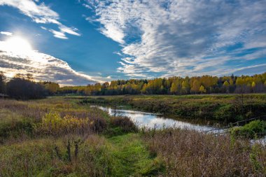 Küçük bir nehri olan sonbahar manzarası ve kalın, uzun ve kuru otları olan bir banka, Rusya. 