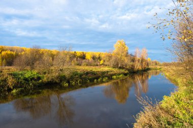 Küçük bir nehri ve sarı yapraklı ağaçları olan bir ormanı olan güzel bir sonbahar manzarası, Rusya.