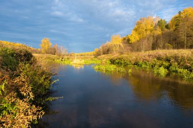 Küçük bir nehri ve sarı yapraklı ağaçları olan bir ormanı olan güzel bir sonbahar manzarası, Rusya.