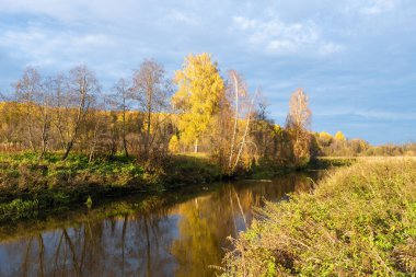 Küçük bir nehri ve sarı yapraklı ağaçları olan bir ormanı olan güzel bir sonbahar manzarası, Rusya.