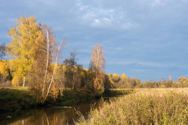 Küçük bir nehri ve sarı yapraklı ağaçları olan bir ormanı olan güzel bir sonbahar manzarası, Rusya.