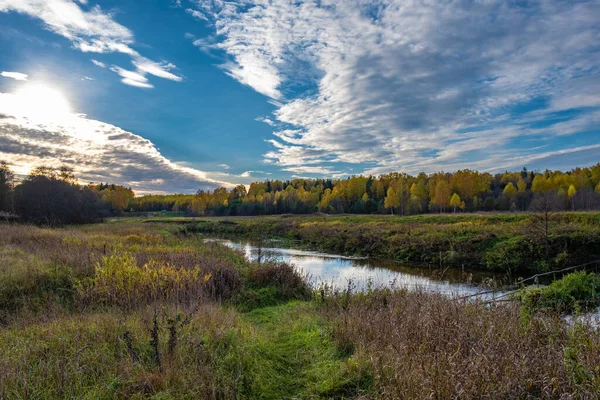 Küçük bir nehri olan sonbahar manzarası ve kalın, uzun ve kuru otları olan bir banka, Rusya. 