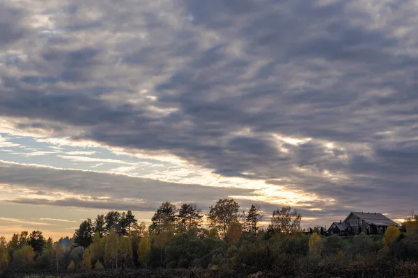 Hermoso Cielo Nublado Por Noche Con Las Copas Los Árboles —  Fotos de Stock