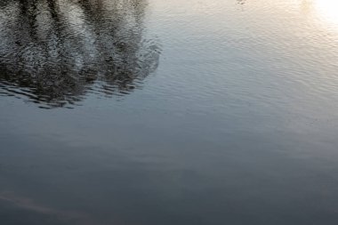 Sudaki bulanık ağaçların yansıması ve ışık dalgalarıyla gri arkaplan.
