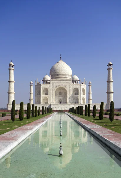 Taj mahal, A monument of love. A famous historical monument, The Greatest White marble tomb in India, Agra, Uttar Pradesh — Stock Photo, Image