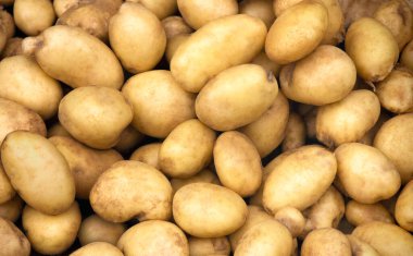 Süpermarkette sebze standında satılan taze patates yığını organik yiyecekler, vejetaryen yiyecekler ve sağlıklı yiyecekler gösteriyor. Doku ve arka plan için pazar kullanımında patates satışı yığını.