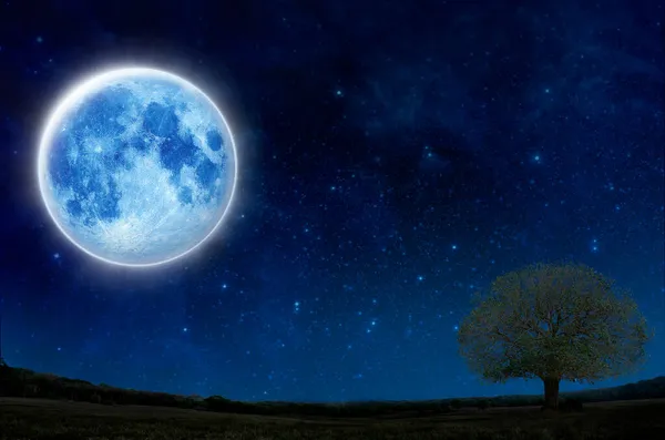 超级满月与轮廓树在夜空与文字复制空间 独木舟独居 万圣节 拯救自然的理念 青草地上的轮廓树 蓝色的大月亮 图库图片