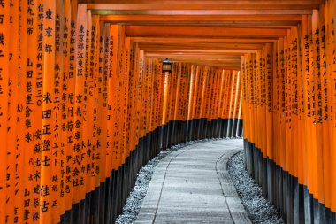 durağındayım tori yolu